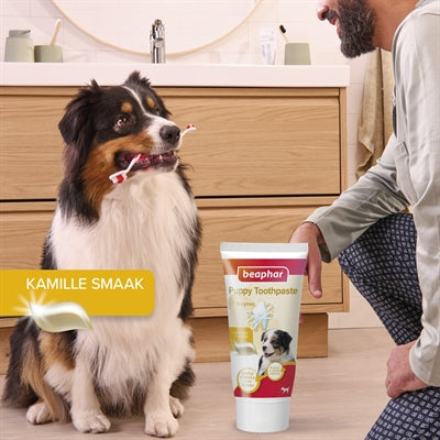 Beaphar Tandpasta En Borstel Combi-Pack Puppy