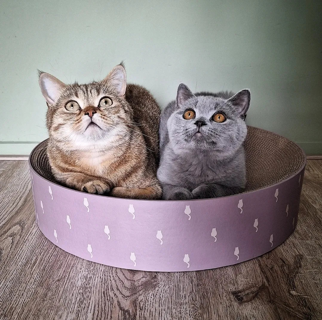 Trixie Krabmand Lilly Karton Catnip Lichtgrijs