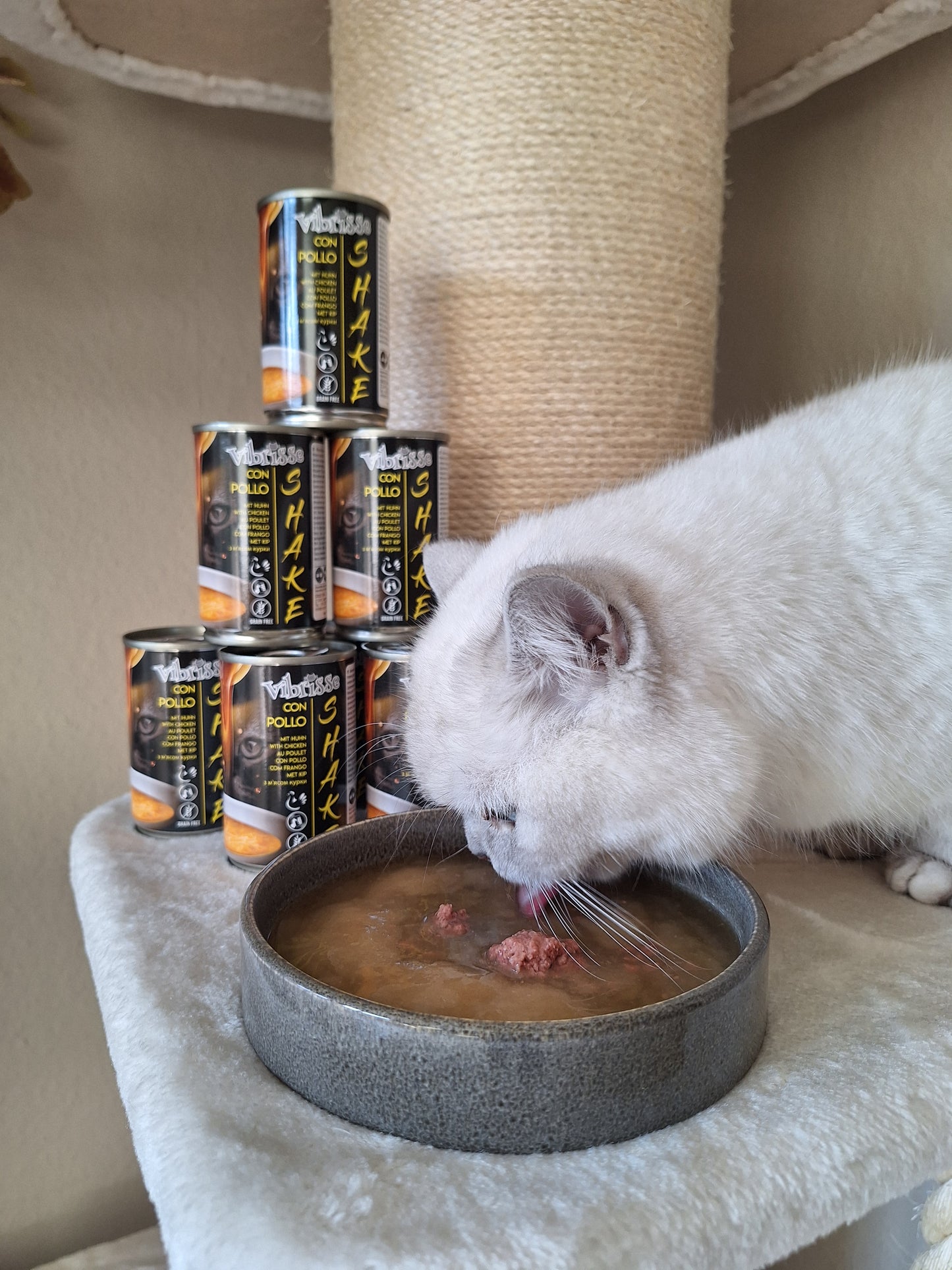 Vibrisse Shake Kip 12x135 gr