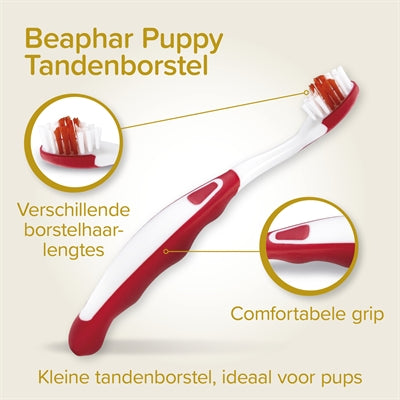 Beaphar Tandpasta En Borstel Combi-Pack Puppy