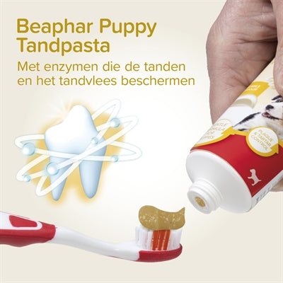 Beaphar Tandpasta En Borstel Combi-Pack Puppy