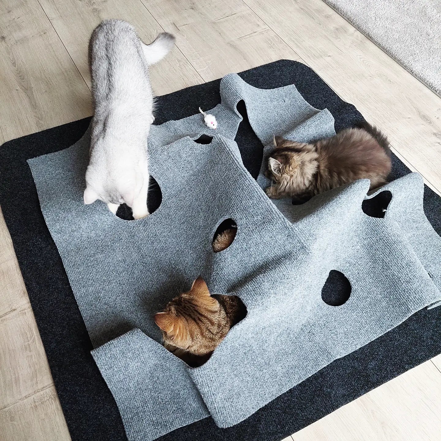 Trixie Cat Activity Adventure Carpet Grijs