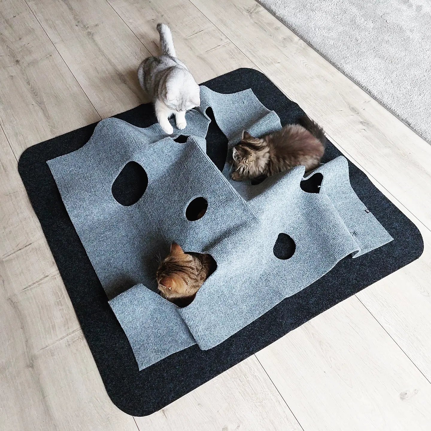 Trixie Cat Activity Adventure Carpet Grijs