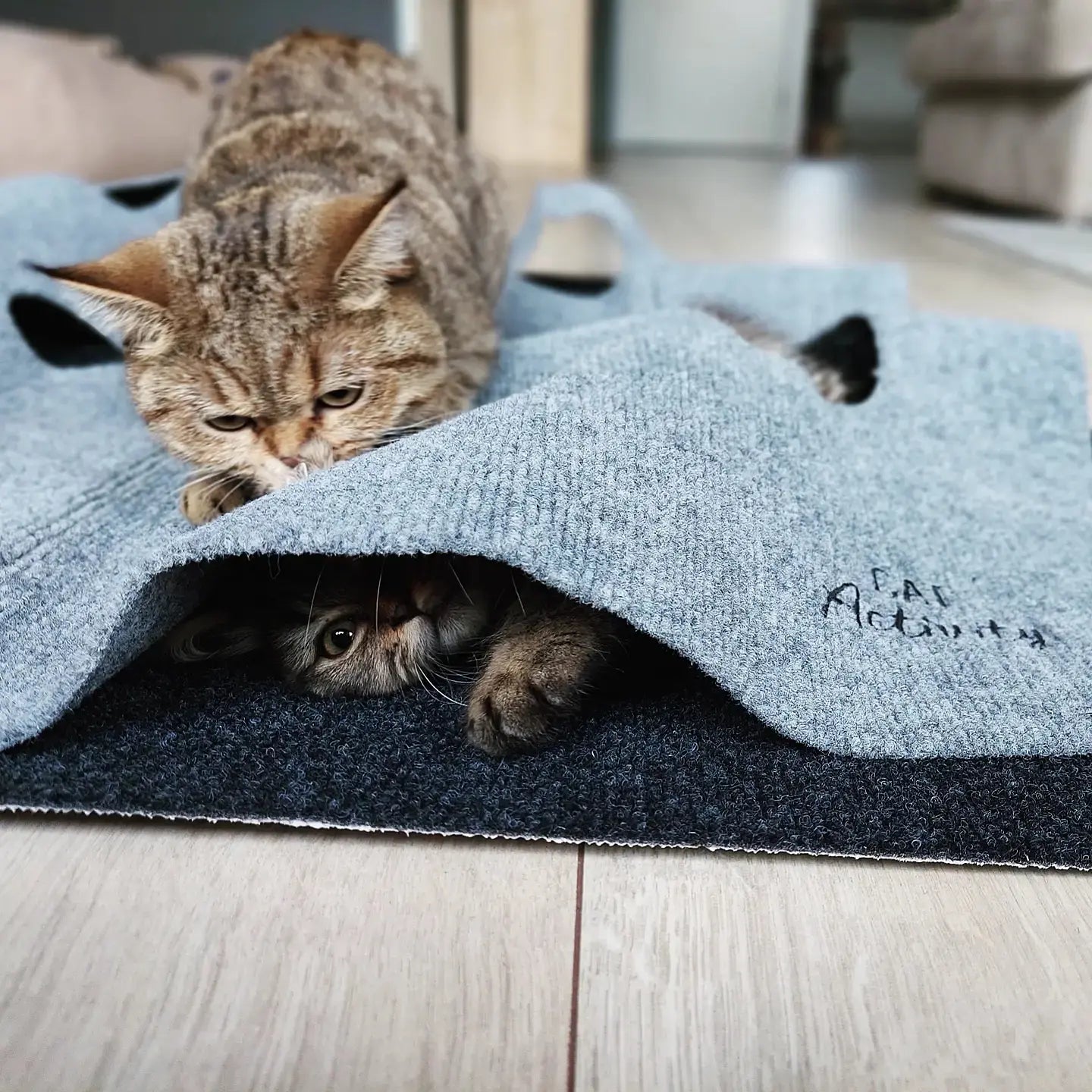 Trixie Cat Activity Adventure Carpet Grijs