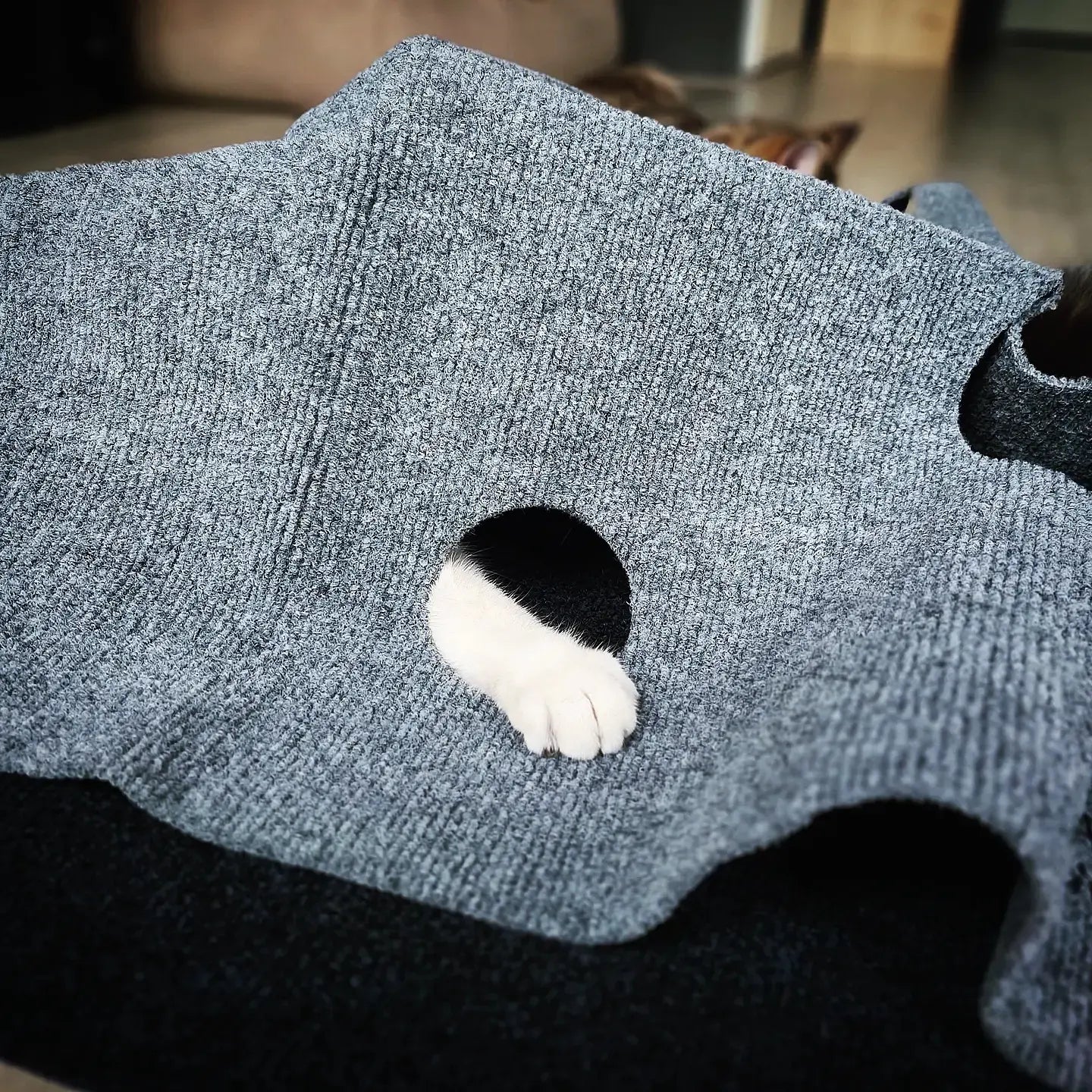 Trixie Cat Activity Adventure Carpet Grijs