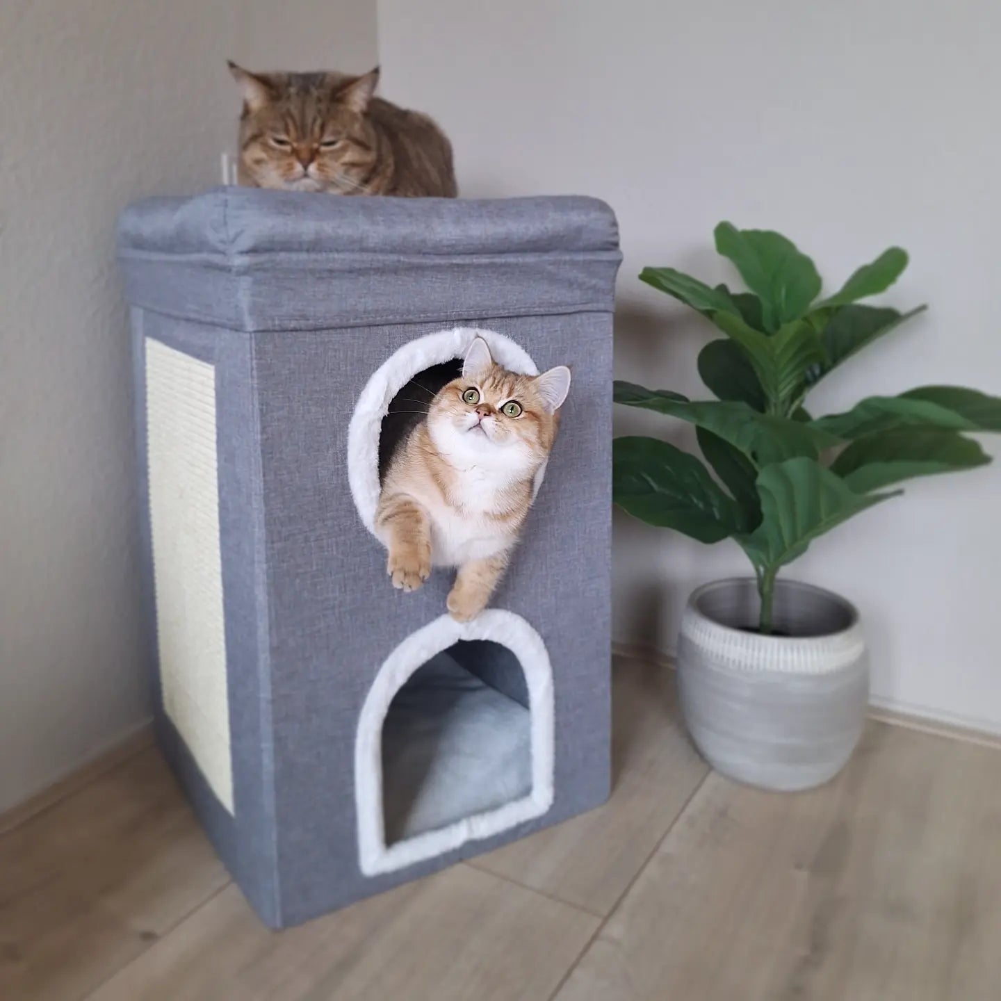 Trixie Krabpaal Cat Tower Saul Grijs